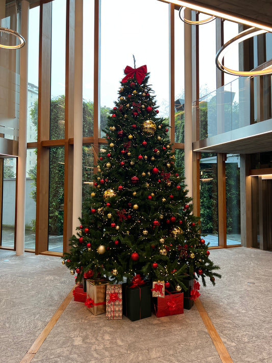 Noleggio Albero di Natale 4m | Premium