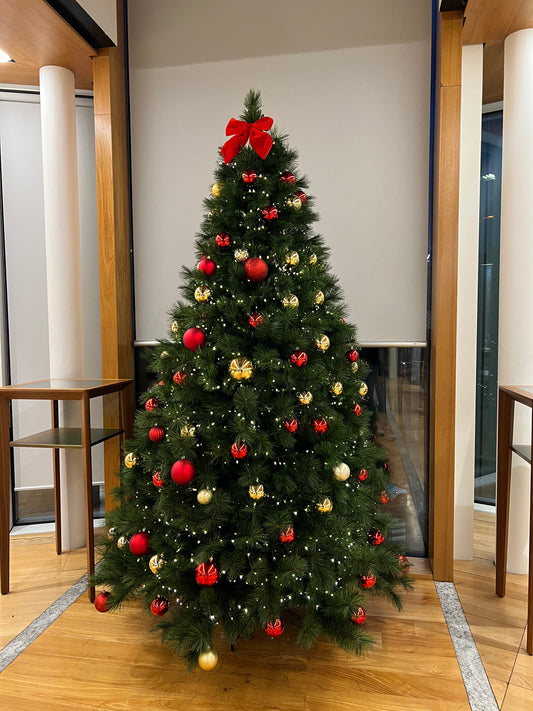 Noleggio Albero di Natale 2.40m  | Alaska