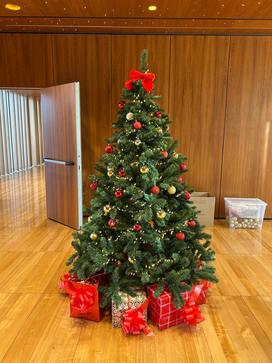 Noleggio Albero di Natale 2.10m | Standard